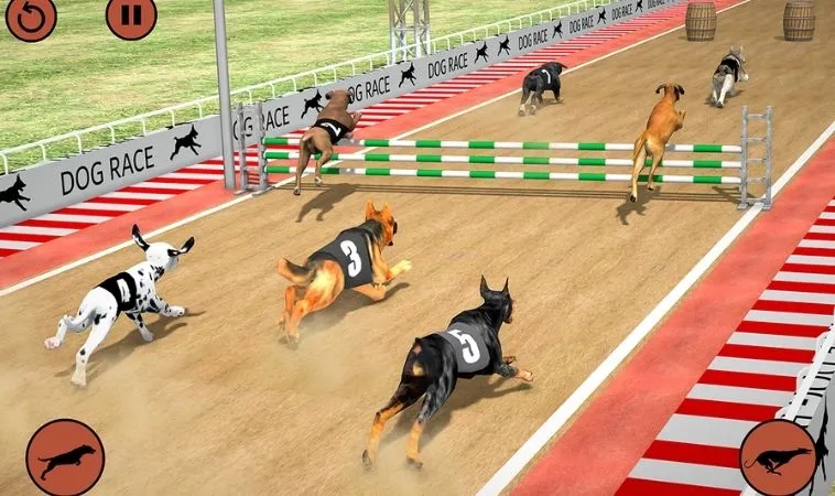 Cách Chơi Game Nhanh Đua Chó Tại U888 Tăng Cơ Hội Thắng Lớn 1 Đua Chó tại U888