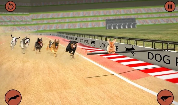 Cách Chơi Game Nhanh Đua Chó Tại U888 Tăng Cơ Hội Thắng Lớn 2 Cách chơi game nhanh Đua Chó tại U888