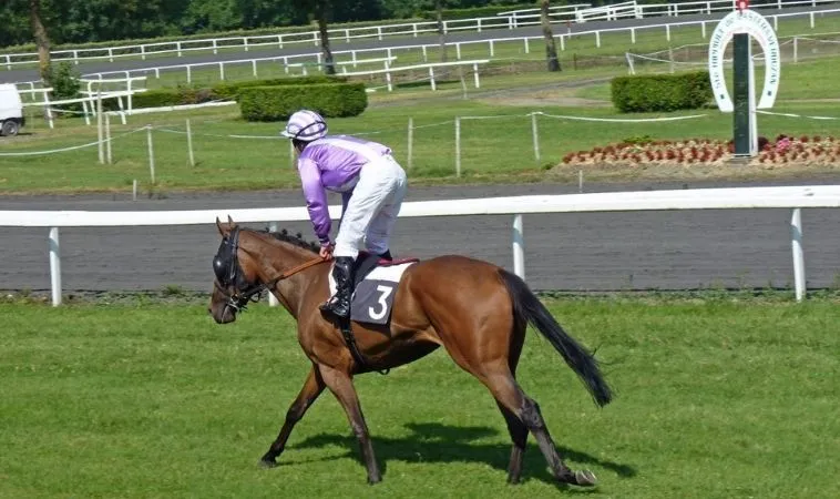 Cần tìm hiểu về bộ môn đua ngựa U888 trước khi tham gia cá cược